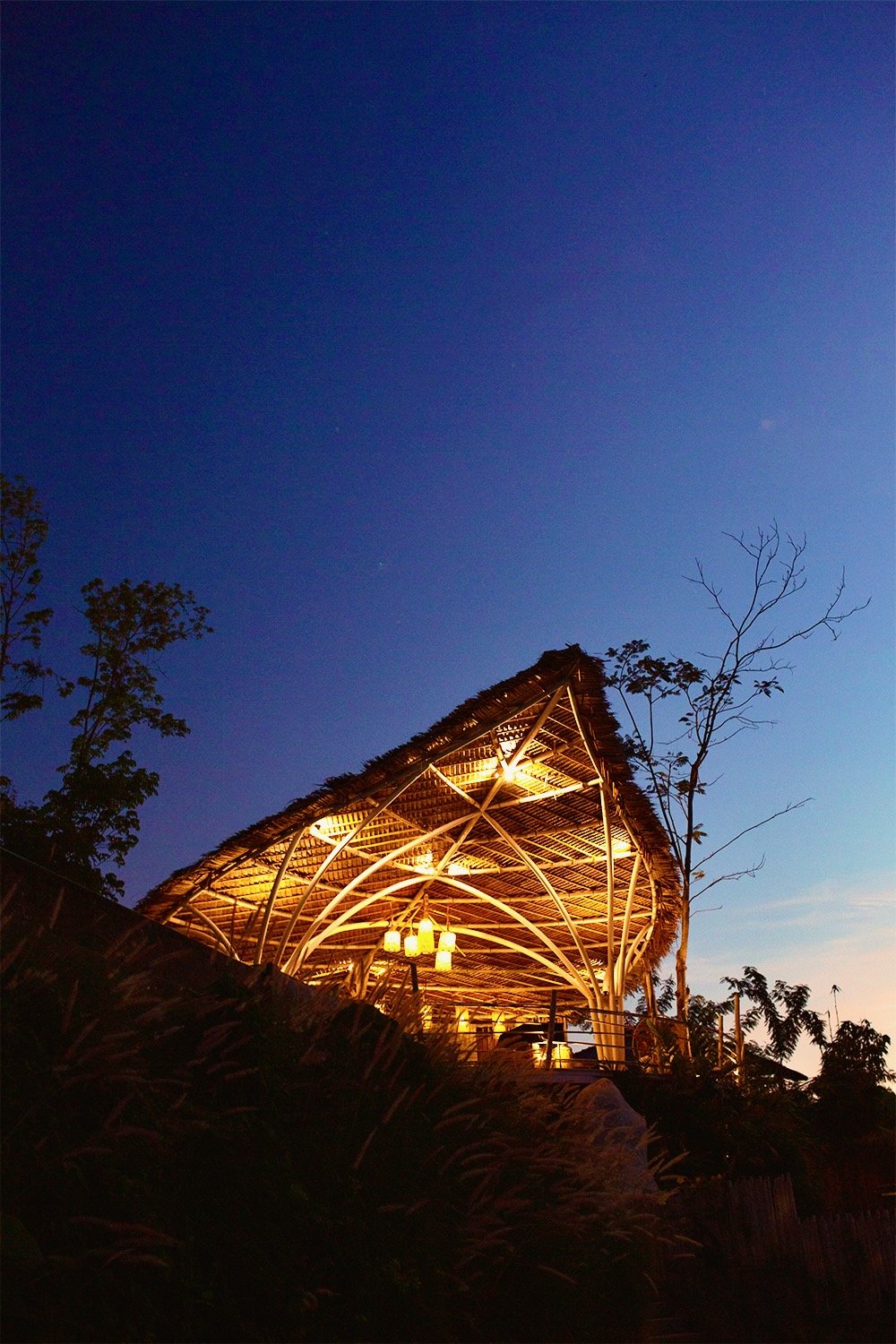 A cocoon at dusk, soft light through the trees